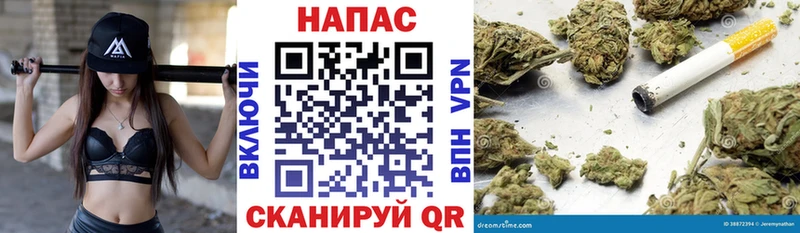 дарк нет клад  Черкесск  Бошки Шишки план  купить  сайты 